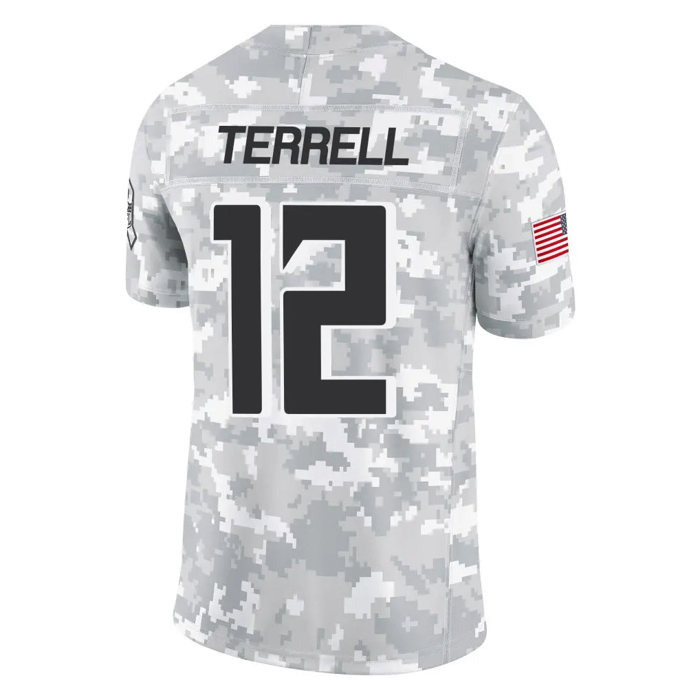 Pkot A.Falcons #12 Avieon Terrell Player Arctic Camo Salute to Service Limited Stitched Jerseys